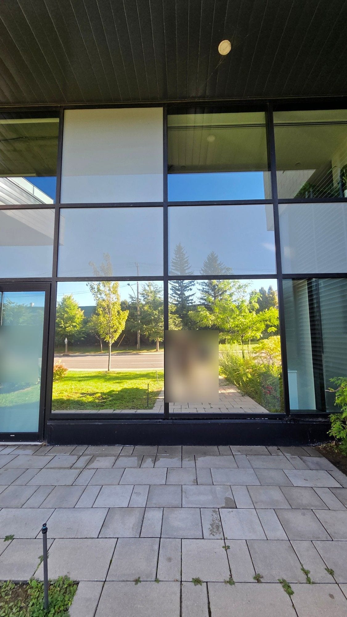 La même fenêtre vue de l'extérieur : les vitres renvoient la rue, les arbres et le ciel